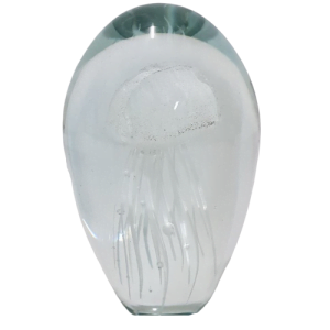GLASS JELLY FISH