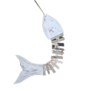 FISH DRIFTWOOD & STONES